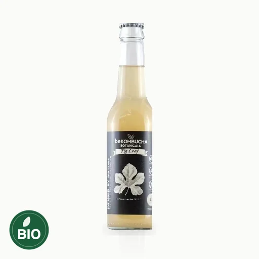 BeKombucha Botanicals feuille de figuier BIO