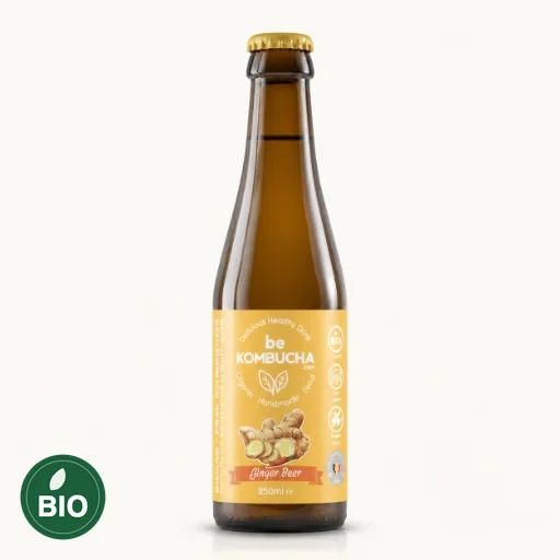 BeKombucha SF ginger beer BIO